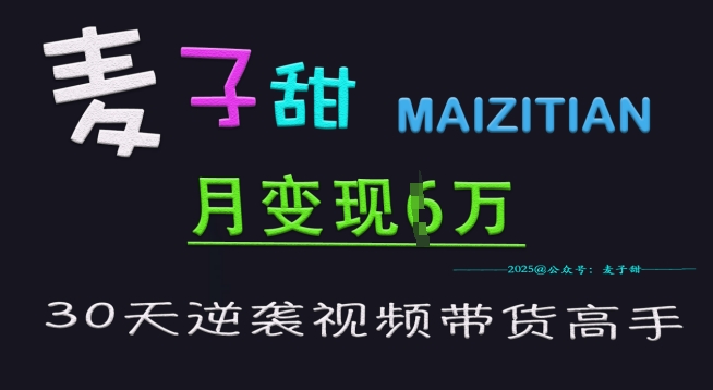 麦子甜30天逆袭视频带货高手，单月变现6W加特训营-生财赚 -赚钱新动力