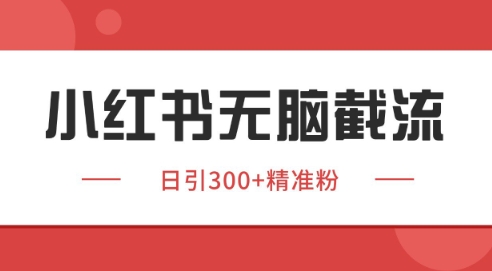 小红书截流同行客源，独家野路子获客玩法 日引200+暴力获客【揭秘】-生财赚 -赚钱新动力