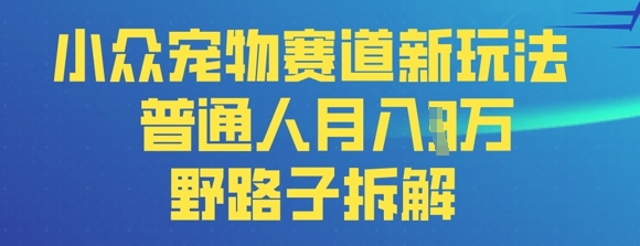小众宠物赛道新玩法，普通人月入过1W的野路子拆解-生财赚 -赚钱新动力