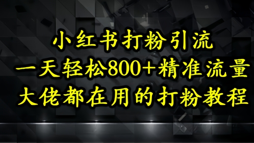 小红书打粉引流，一天轻松500+精准流量，大佬都在用的打粉教程-生财赚 -赚钱新动力