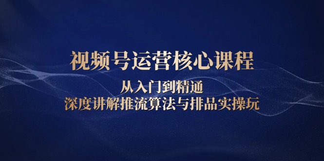 （13863期）视频号运营核心课程，从入门到精通，深度讲解推流算法与排品实操玩-生财赚 -赚钱新动力