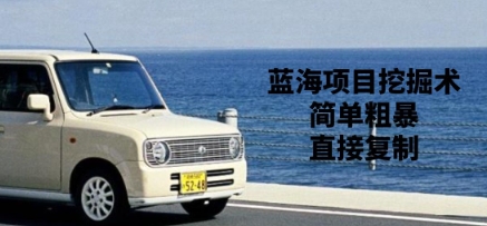 蓝海项目挖掘术，简单粗暴，直接复制-生财赚 -赚钱新动力