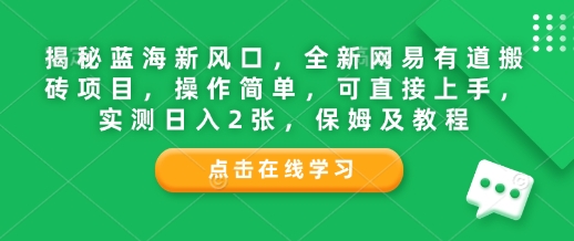 揭秘蓝海新风口，全新网易有道搬砖项目，操作简单，可直接上手，实测日入2张，保姆及教程-生财赚 -赚钱新动力