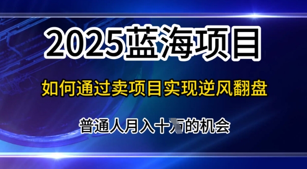 2025蓝海项目，普通人如何通过卖项目实现逆风翻盘，月入10个【揭秘】-生财赚 -赚钱新动力