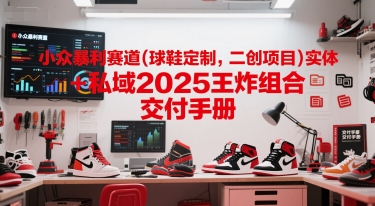 小众暴利赛道(球鞋定制，二创项目)实体+私域2025王炸组合  交付手册-生财赚 -赚钱新动力
