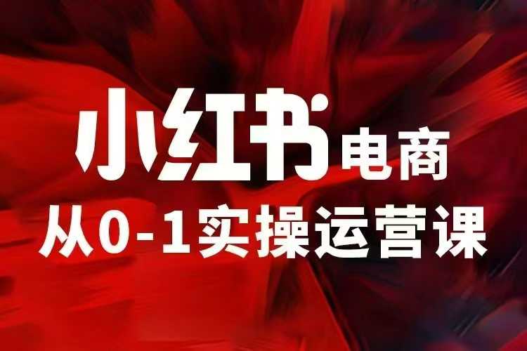 小红书电商运营，97节小红书vip内部课，带你实现小红书赚钱-生财赚 -赚钱新动力