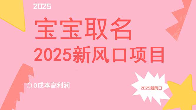 （14593期）2025新风口项目宝宝取名，0成本高利润，附保姆级教程，月入过万不是梦-生财赚 -赚钱新动力