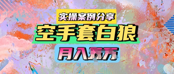 空手套白狼，月入过1W，实操案例分享-生财赚 -赚钱新动力
