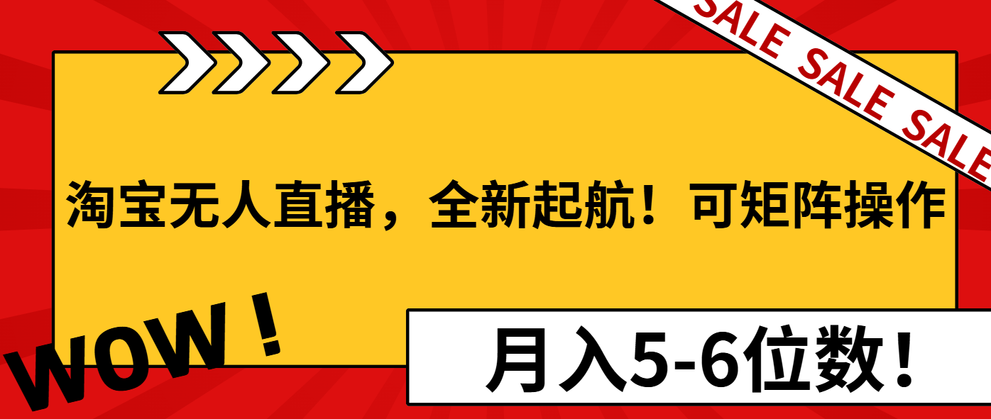 （13946期）淘宝无人直播，全新起航！可矩阵操作，月入5-6位数！-生财赚 -赚钱新动力