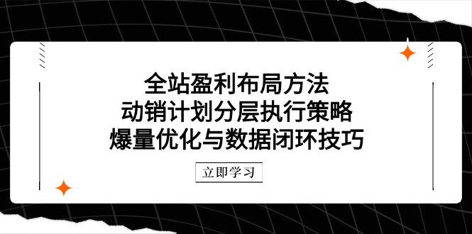 （14698期）全站盈利布局方法：动销计划分层执行策略，爆量优化与数据闭环技巧-生财赚 -赚钱新动力