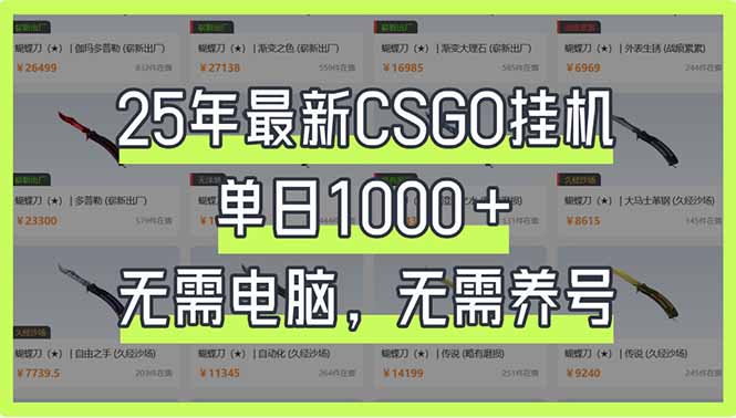 （14178期）25年最新CSGO挂机系统，单日1000+，无需电脑，无需养号，0基础可上手-生财赚 -赚钱新动力