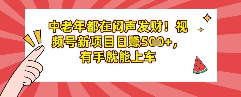 中老年都在闷声发财，视频号新项目日入多张，有手就能上车-生财赚 -赚钱新动力