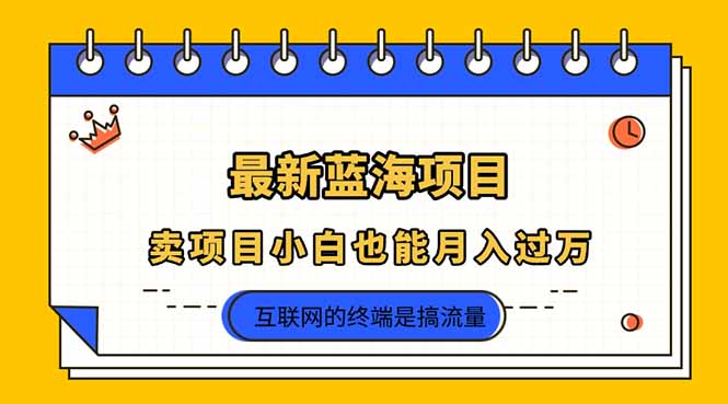 （14289期）2025年最新蓝海项目，卖项目小白也能月入过万-生财赚 -赚钱新动力