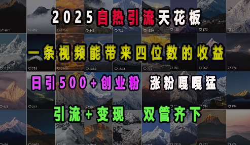 2025自热引流天花板，一条视频能带来四位数的收益，引流+变现双管齐下，日引500+创业粉，涨粉嘎嘎猛-生财赚 -赚钱新动力