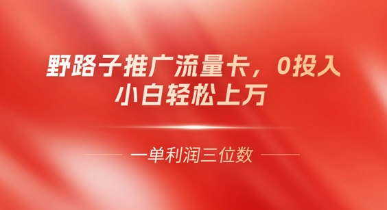 0门槛推广流量卡，一单收益上百，0投入，小白月入过W-生财赚 -赚钱新动力