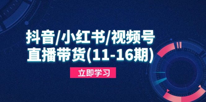 （14611期）抖音/小红书/视频号/直播带货(11-16期)，快速掌握平台规则，打造爆款内容-生财赚 -赚钱新动力