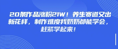 20条作品涨粉21W！养生赛道又出新花样，制作难度我奶奶都能学会，赶紧学起来-生财赚 -赚钱新动力