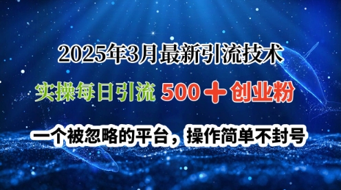 2025年3月最新引流技术，实操每日引流500+创业粉，一个被忽略的平台，操作简单不封号-生财赚 -赚钱新动力