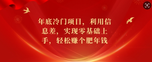 年底冷门项目，利用信息差，实现零基础上手，轻松赚个肥年钱【揭秘】-生财赚 -赚钱新动力