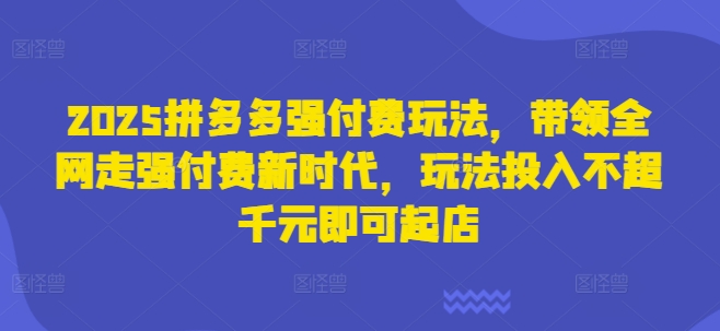 2025拼多多强付费玩法，带领全网走强付费新时代，玩法投入不超千元即可起店-生财赚 -赚钱新动力