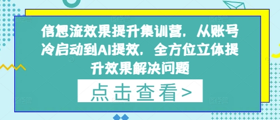 信息流效果提升集训营，从账号冷启动到AI提效，全方位立体提升效果解决问题-生财赚 -赚钱新动力