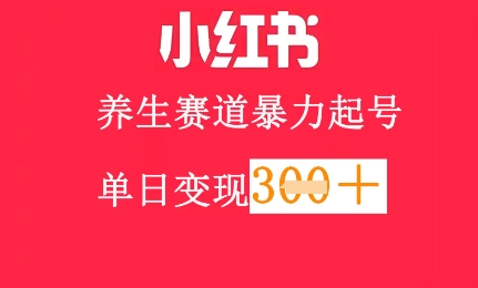 小红书养生赛道，暴力起号，轻松日入3张+-生财赚 -赚钱新动力
