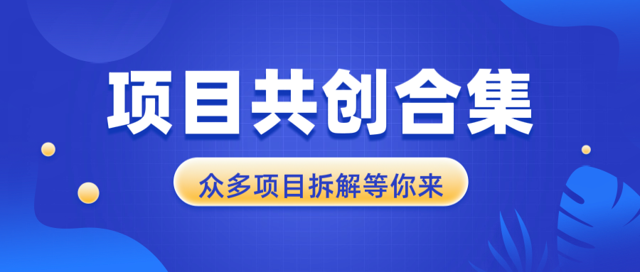 （13778期）项目共创合集，从0-1全过程拆解，让你迅速找到适合自已的项目-生财赚 -赚钱新动力