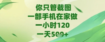 你只管截图，一部手机在家做，苹果安卓都可以，一天5张+【揭秘】-生财赚 -赚钱新动力