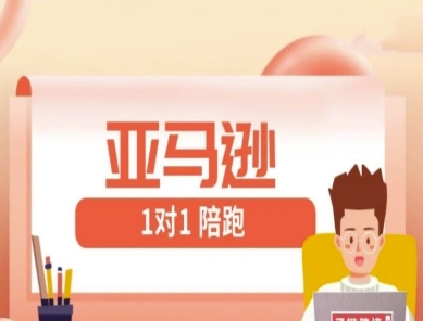 亚马逊1对1陪跑课(FBA/FBM精铺)跨境亚马逊教程-生财赚 -赚钱新动力