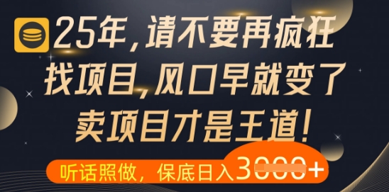 什么？25年你还在疯狂找项目做，醒醒吧，看完这些你全都懂了【揭秘】-生财赚 -赚钱新动力