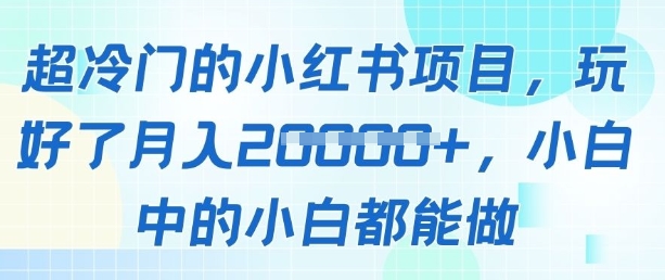 超冷门的小红书项目，玩好了月入过1w，小白中的小白都能做-生财赚 -赚钱新动力