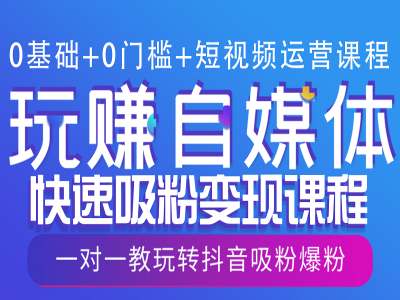 0基础+0门槛+短视频运营课程，玩赚自媒体快速吸粉变现课程，一对一教玩转抖音吸粉爆粉-生财赚 -赚钱新动力