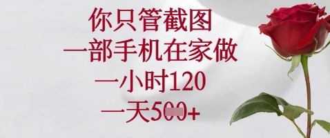 你只管截图，一部手机在家做，苹果安卓都可以，一小时120，一天5张+【揭秘】-生财赚 -赚钱新动力