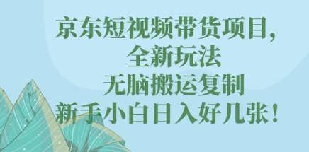 京东短视频带货项目，全新玩法，无脑搬运复制，新手小白日入好几张!-生财赚 -赚钱新动力