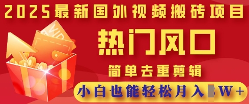 2025最新视频搬砖项目，热门风口，简单去重剪辑，小白也能轻松月入过W-生财赚 -赚钱新动力