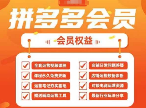 2025拼多多运营实战课，40节全流程教学，覆盖拼多多运营全链路-生财赚 -赚钱新动力
