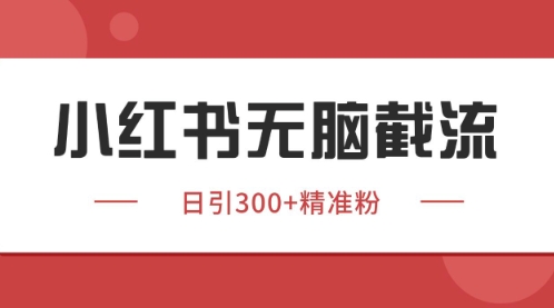 小红书只要你有同行就能获客，独家野路子获客玩法，暴力截流【揭秘】-生财赚 -赚钱新动力