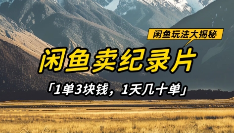 闲鱼卖纪录片1单3块钱，1天几十单，项目稳定有潜力-生财赚 -赚钱新动力