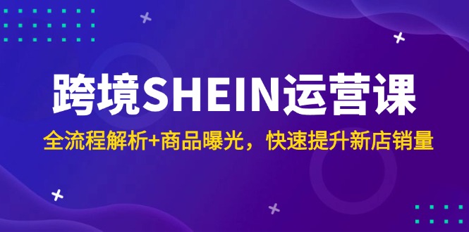 （14832期）跨境SHEIN运营课，全流程解析+商品曝光，快速提升新店销量-生财赚 -赚钱新动力