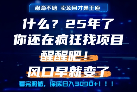 什么？25年你还在疯狂找项目做，醒醒吧，看完这些你全都懂了！【揭秘】-生财赚 -赚钱新动力