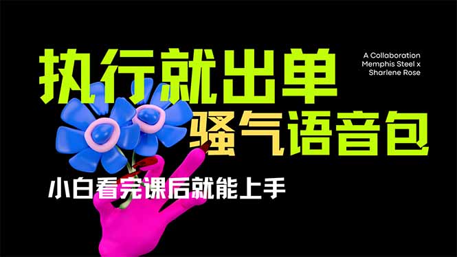 （14170期）爆火全网的开车导航骚气语音包,只要执行就出单，小白看完课程就能实操…-生财赚 -赚钱新动力