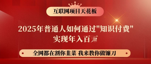 互联网项目天花板，2025年普通人如何通过知识付费实现年入百个【揭秘】-生财赚 -赚钱新动力