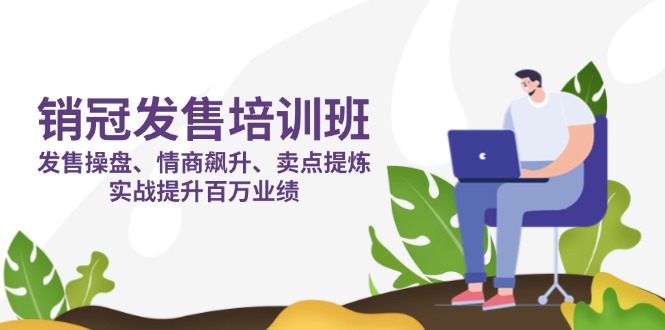（14203期）销冠 发售培训班：发售 操盘+情商 飙升+卖点 提炼，实战提升百万业绩-生财赚 -赚钱新动力