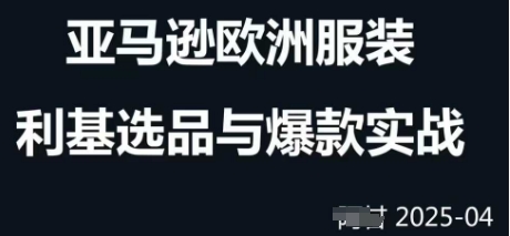 跨境电商选品案例24-25年，聚焦跨境电商选品策略与运营优化，助力卖家挖掘蓝海市场-生财赚 -赚钱新动力