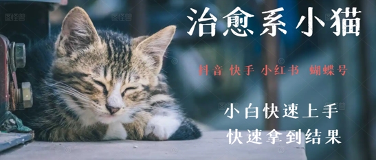 拆解，疯狂火爆！抖音，小红书，视频号小猫治愈的视频，轻松制作+快速拿到结果-生财赚 -赚钱新动力