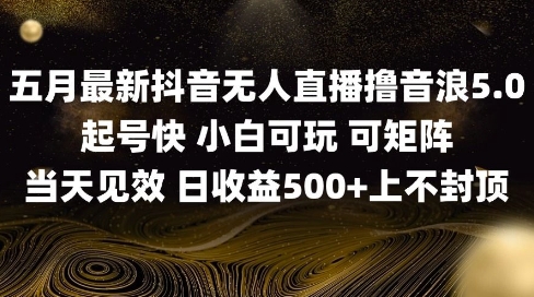 2025五月最新无人直播撸音浪单日产出5张+实操教程【揭秘】-生财赚 -赚钱新动力