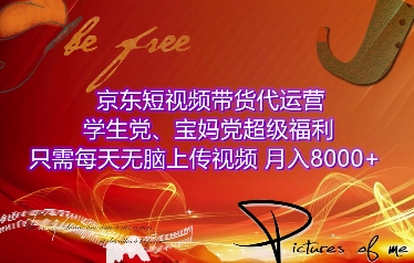 京东短视频带货代运营，学生党、宝妈党超级福利，只需每天无脑上传视频，月入8000+【仅揭秘】-生财赚 -赚钱新动力