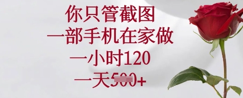你只管截图，一部手机在家做，一小时120.一天5张【揭秘】-生财赚 -赚钱新动力