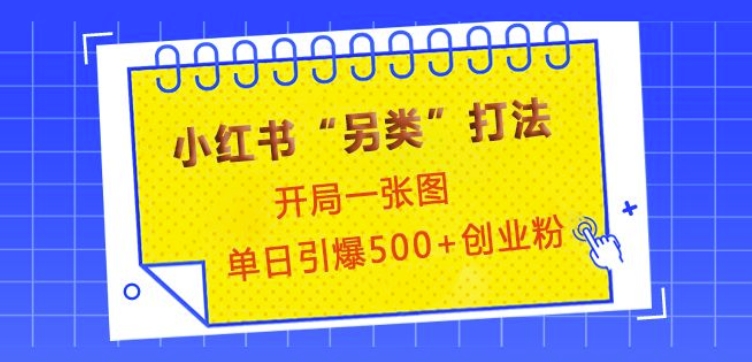 小红书“另类”打法，开局一张图，单日引爆500+精准创业粉【揭秘】-生财赚 -赚钱新动力