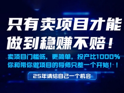 只有卖项目才能做到稳挣不赔，门槛低，更简单，你也可以年入百个W【揭秘】-生财赚 -赚钱新动力